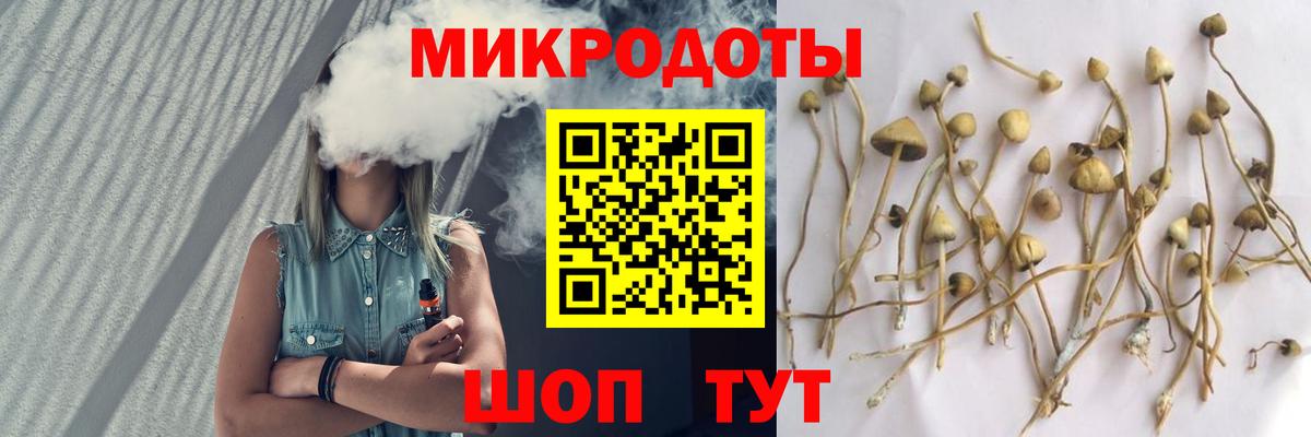 Галлюциногенные грибы Psilocybe  Вход с VPN  Симферополь 